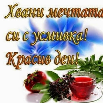 Профилна снимка на Калинка Андонова