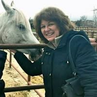 Профилна снимка на roro24