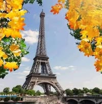 Профилна снимка на Тамара Иванова