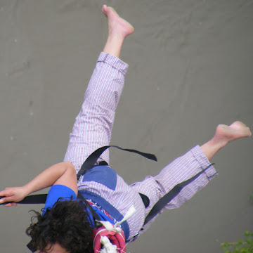 Профилна снимка на elica2702