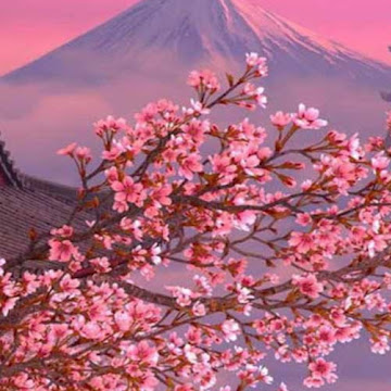 Профилна снимка на Елина Рударска