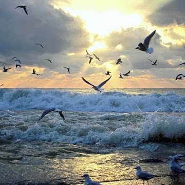 Профилна снимка на Илияна Александрова