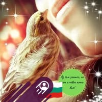 Профилна снимка на vanya-na-slavcheva