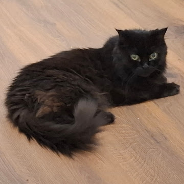 Профилна снимка на atanata