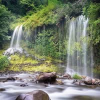 Профилна снимка на Красимира Тонева