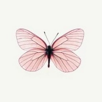 Профилна снимка на Есра Мустафа