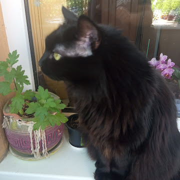 Профилна снимка на tanyamarinova