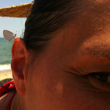 Профилна снимка на Анита Симеонова