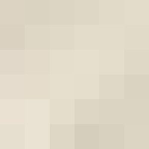 Профилна снимка на Ваня Неделчева