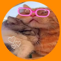 Профилна снимка на dani1