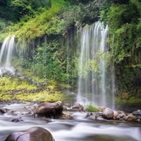 Профилна снимка на margaritastoimenova