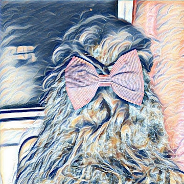 Профилна снимка на Андрияна Кръстева