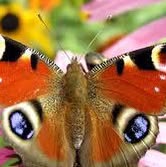 Профилна снимка на Катя Стоянова