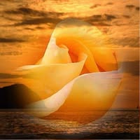 Профилна снимка на Ѝоланта Георгиева