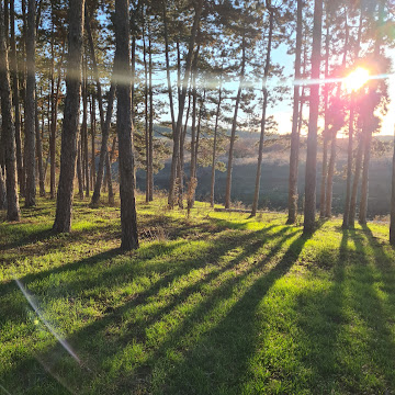 Профилна снимка на Нина Казанджиева