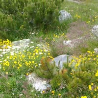 Профилна снимка на nng0511