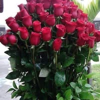 Профилна снимка на kostadinkastefanova