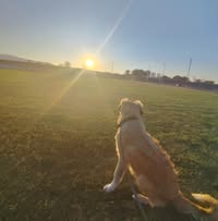 Профилна снимка на valentinageorgieva-1 Гергиева