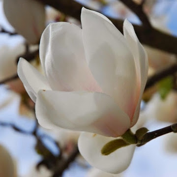 Профилна снимка на dobrinkadzhorgova