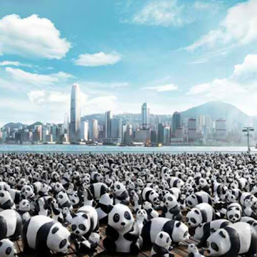 Профилна снимка на teodorageorgieva-1