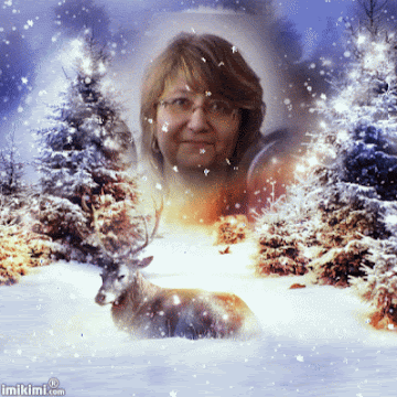 Профилна снимка на antoanetadocheva