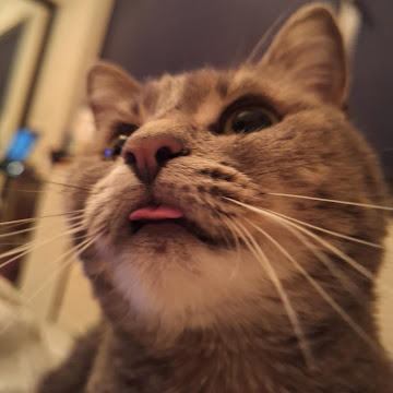 Профилна снимка на mimabi