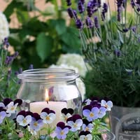 Профилна снимка на irenapetkova