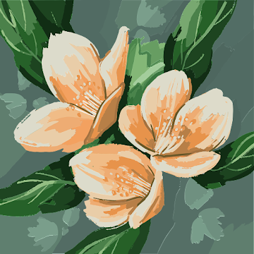 Профилна снимка на safiehaliloglu-1