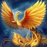 Профилна снимка на gerygermanova