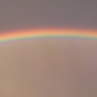 Профилна снимка на zinchesensen