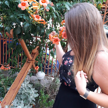 Профилна снимка на ivelinakaraivanova