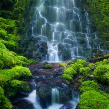 Профилна снимка на mariqtrendafilova