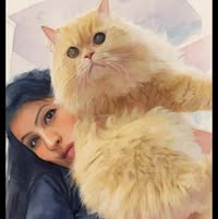 Профилна снимка на mi6etokg