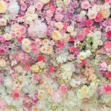 Профилна снимка на veselinastancheva