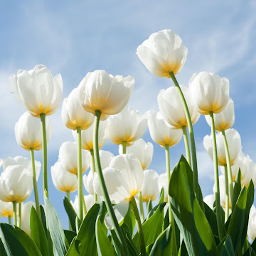 Профилна снимка на mayazhukleva