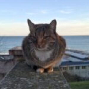 Профилна снимка на Теодора Георгиева