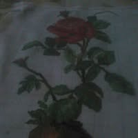 Профилна снимка на polinavalkova