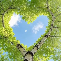 Профилна снимка на selversalim