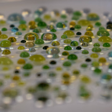 Профилна снимка на stefansemerdzhiev