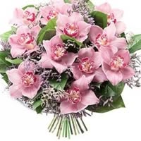 Профилна снимка на ivankaburova