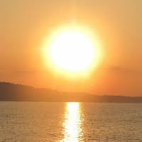 Профилна снимка на Silvia Petrova