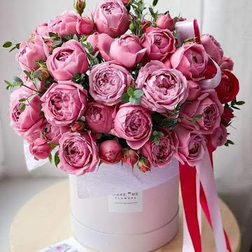 Профилна снимка на miroslavasimeonova