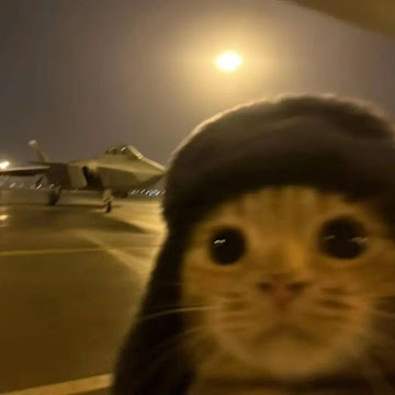 Профилна снимка на borisstoqrhn-nov