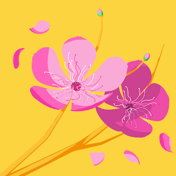 Профилна снимка на Илияна Куцарова