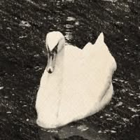 Профилна снимка на mikibg