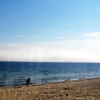 Профилна снимка на renivelkova