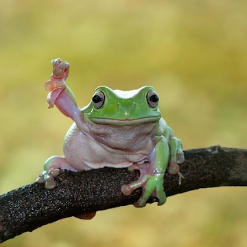 Профилна снимка на Yasmina Dautova