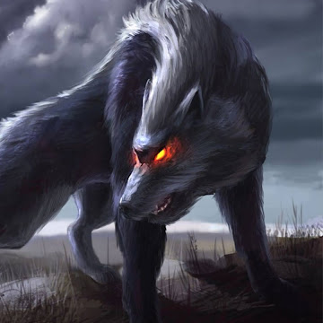 Профилна снимка на liubomiryurukov