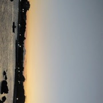 Профилна снимка на Никол Николова