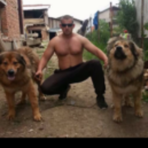 Профилна снимка на Ivan Bayrakov